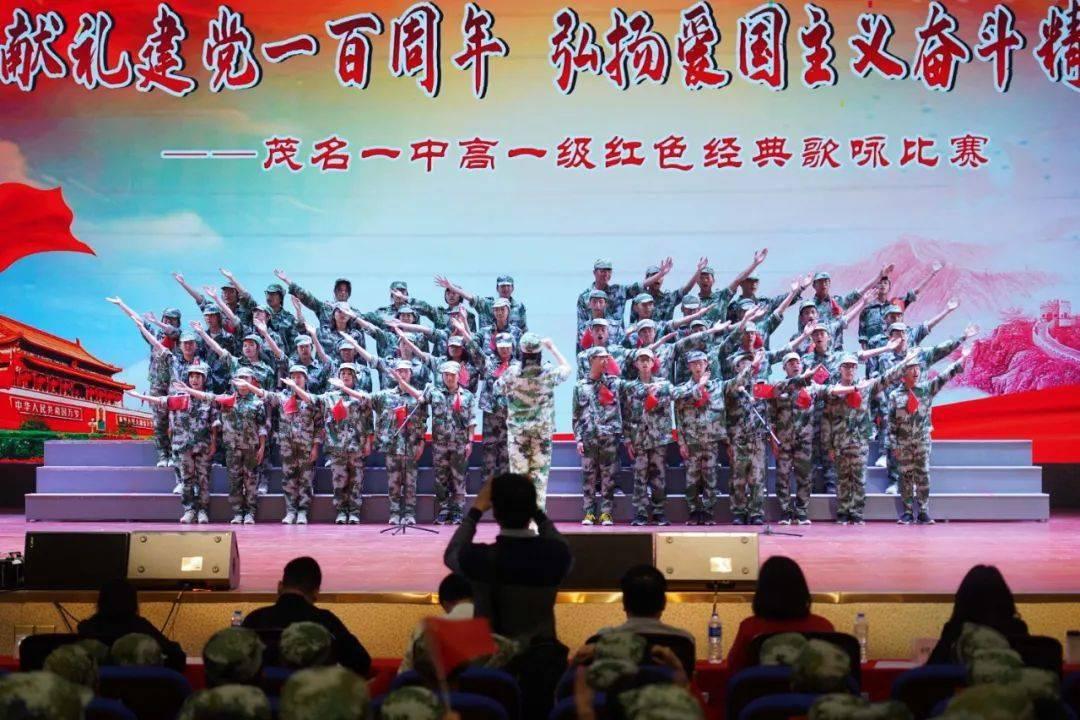 尽享梦到一群蚂蚁在水上,在树叶上飘着?,加入知识星球平台